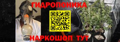сатива Кунгур
