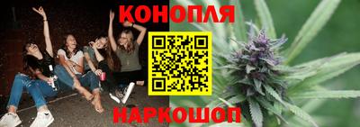 сатива Кунгур