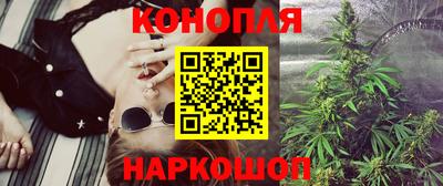 сатива Кунгур