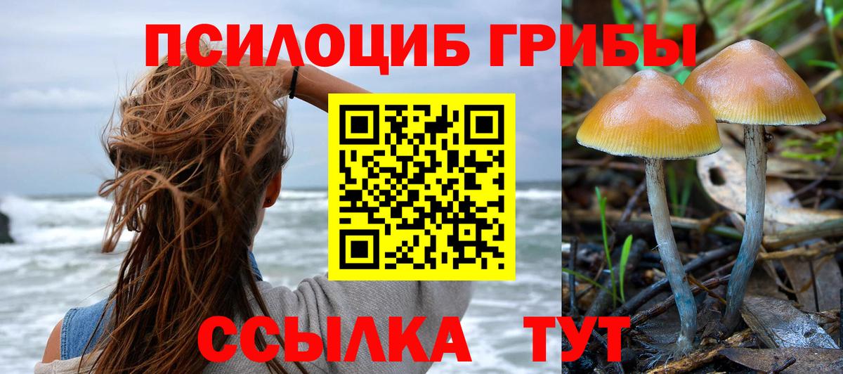 Дзержинск  Псилоцибиновые грибы Magic Shrooms  Вход с VPN 